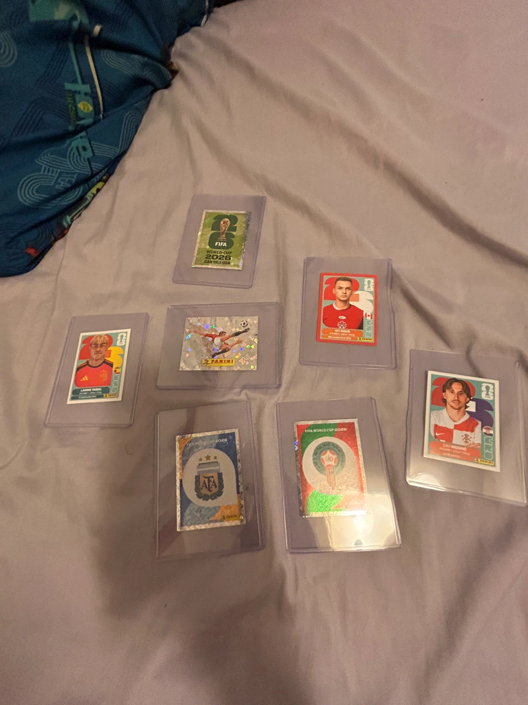 Panini FIFA World Cup Sticker Collection