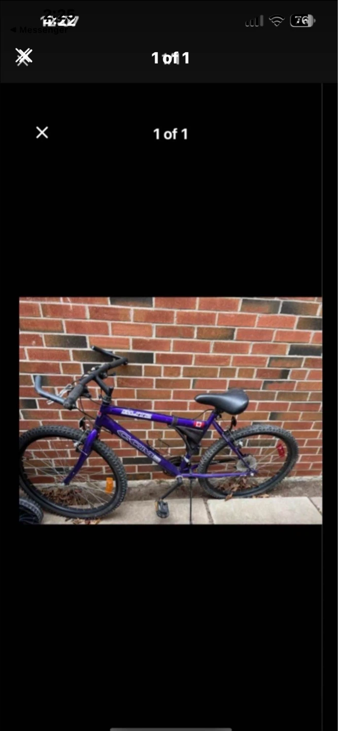 Purple "CAM" Mountain Bike