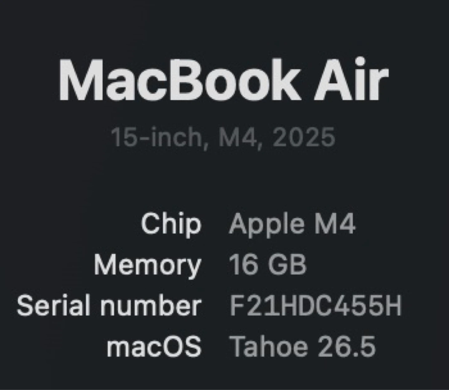 Apple MacBook Air 15-inch M4 16GB - photo 3