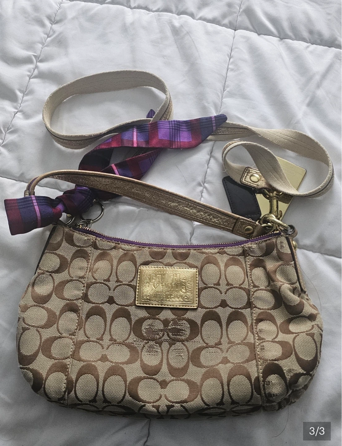Coach Signature Canvas Hobo Bag