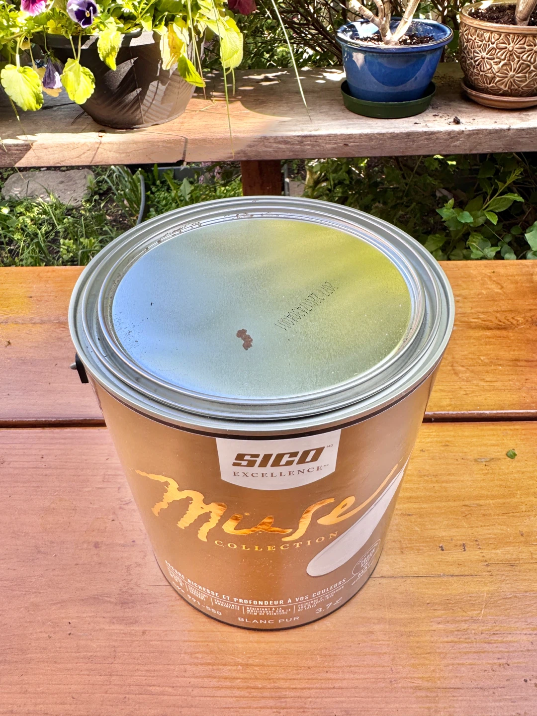 7 Buckets SICO Interior Latex Paint & Primer PURE WHITE - photo 3