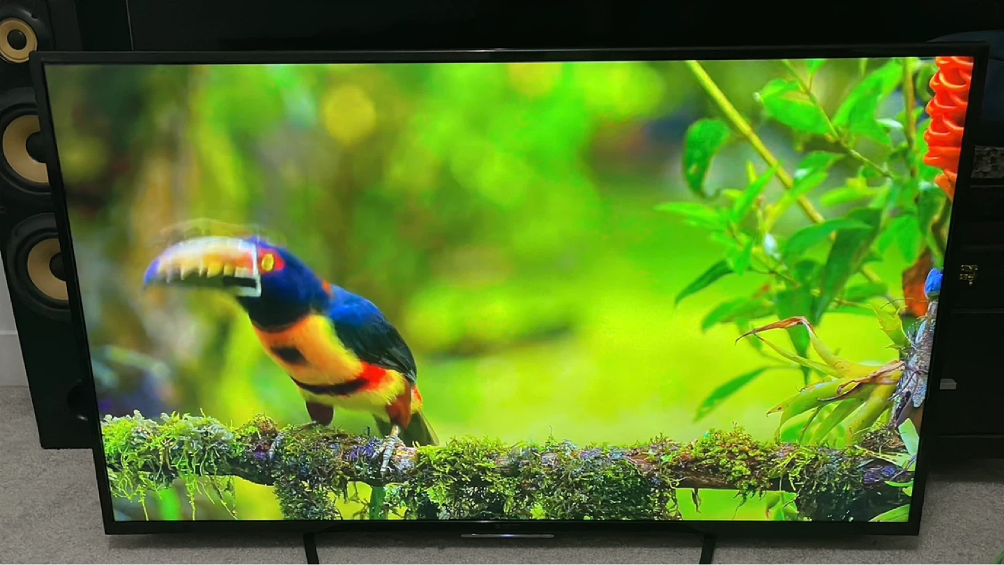 Sony Bravia XBR-55X810C 55" 4K Smart TV - photo 2