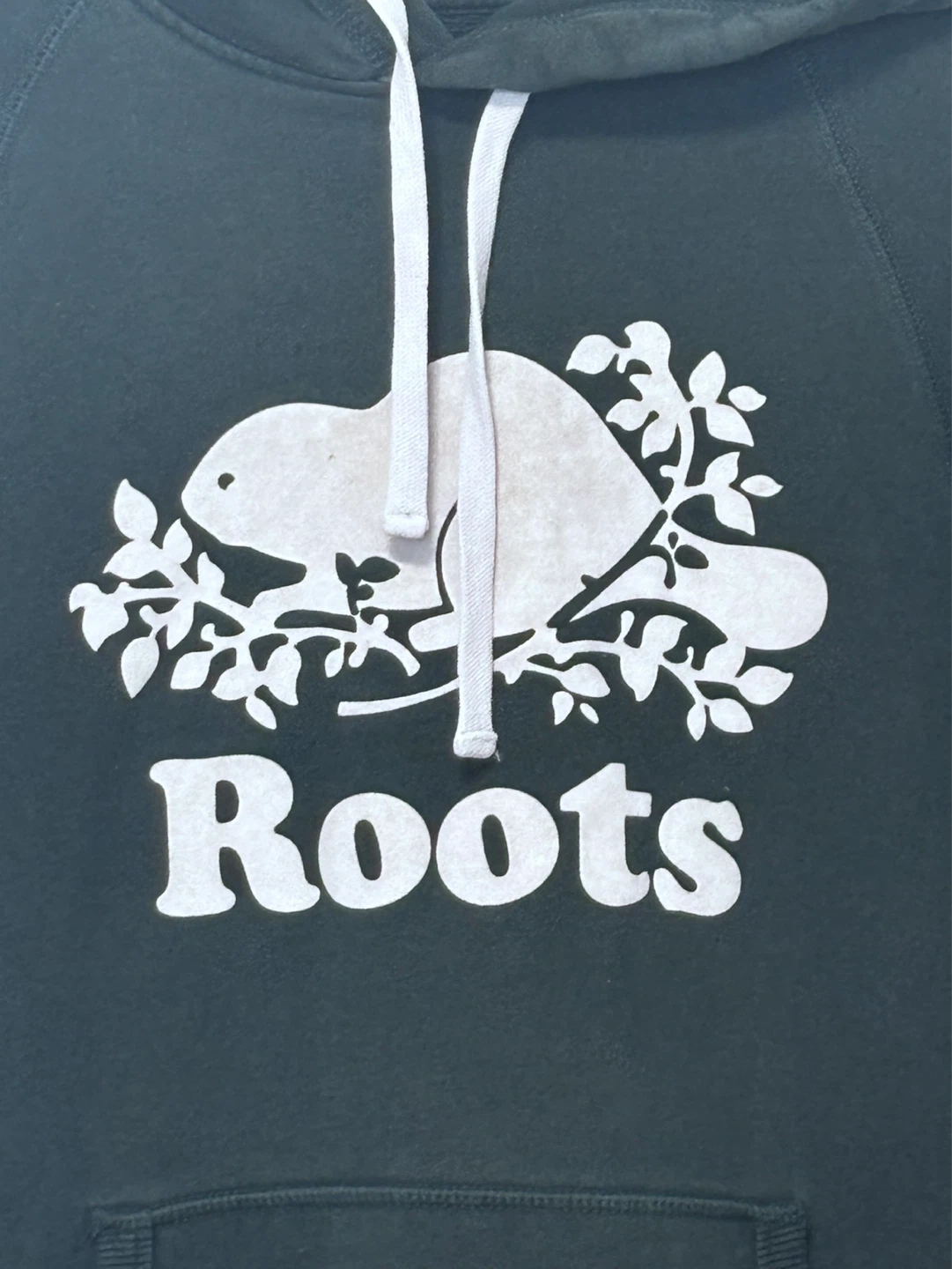 Roots Hoodie (Men’s XS) - photo 2