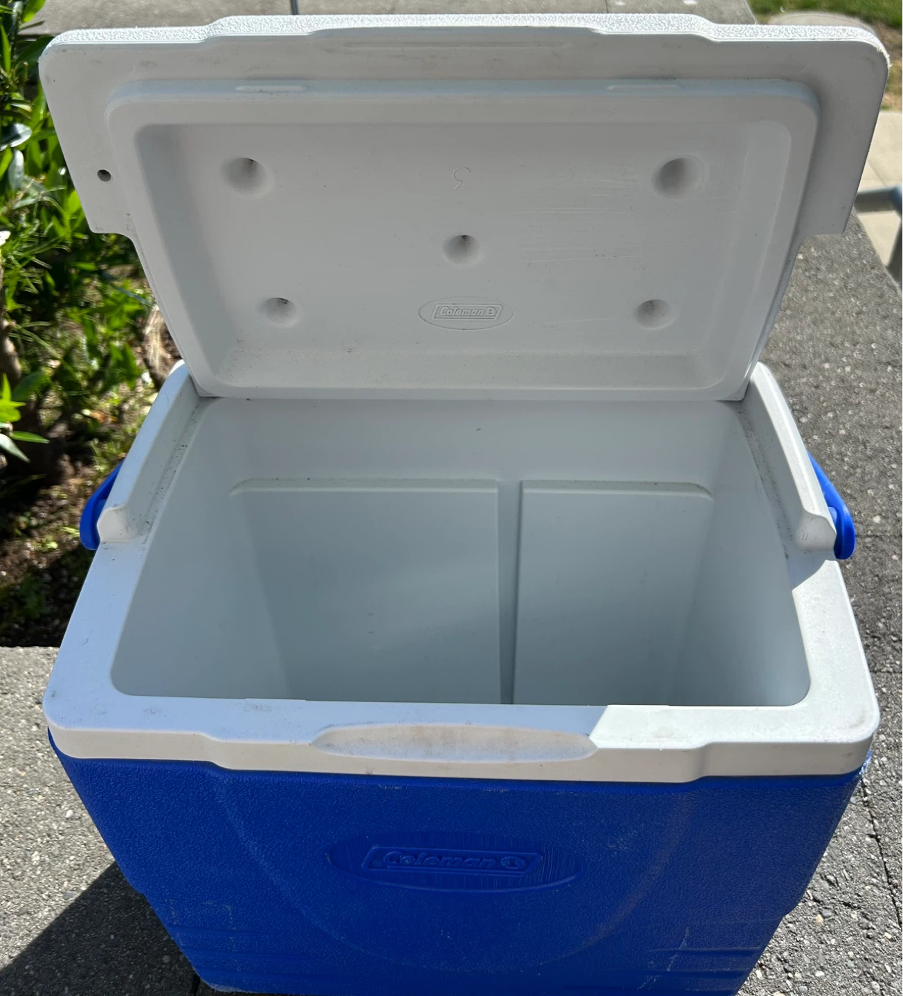 Coleman Cooler - photo 2