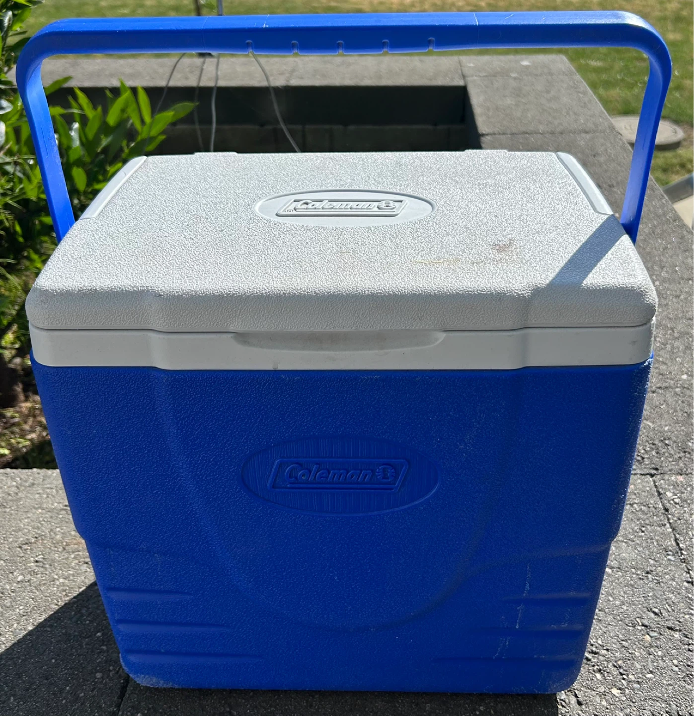 Coleman Cooler