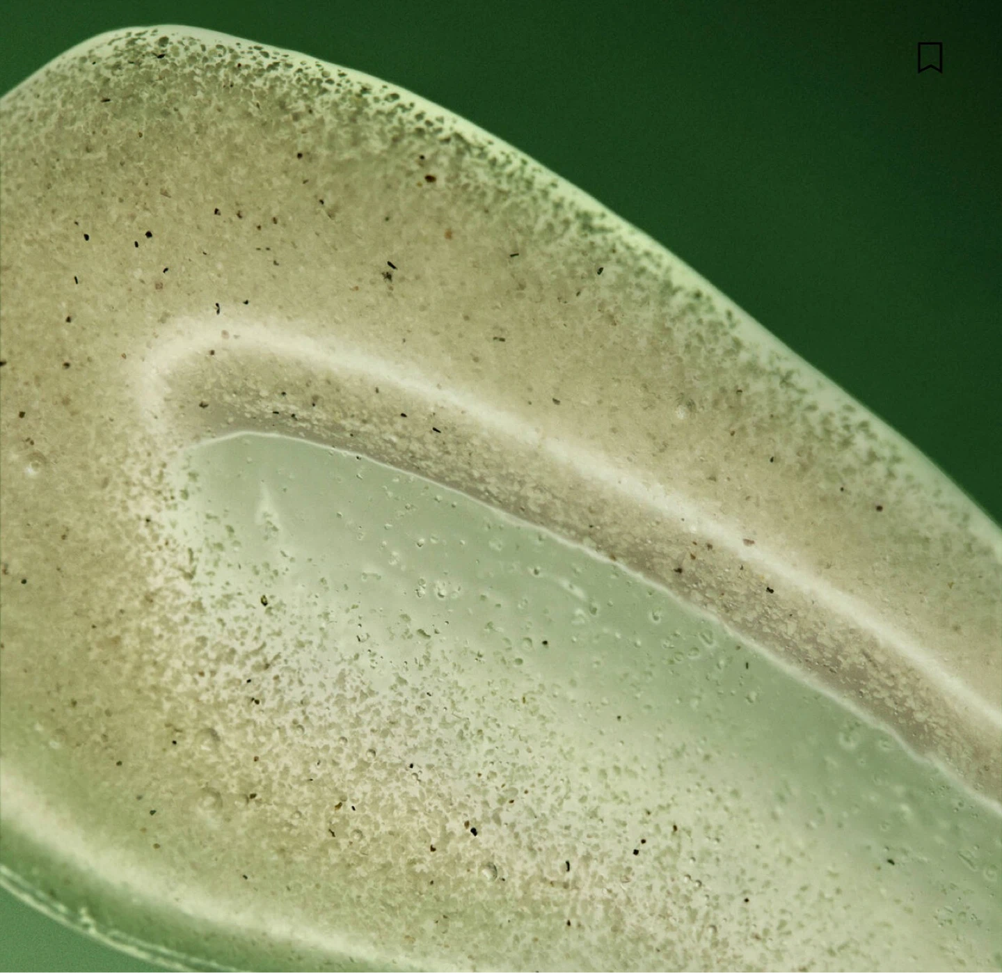 Aesop Geranium Leaf Body Scrub - photo 2