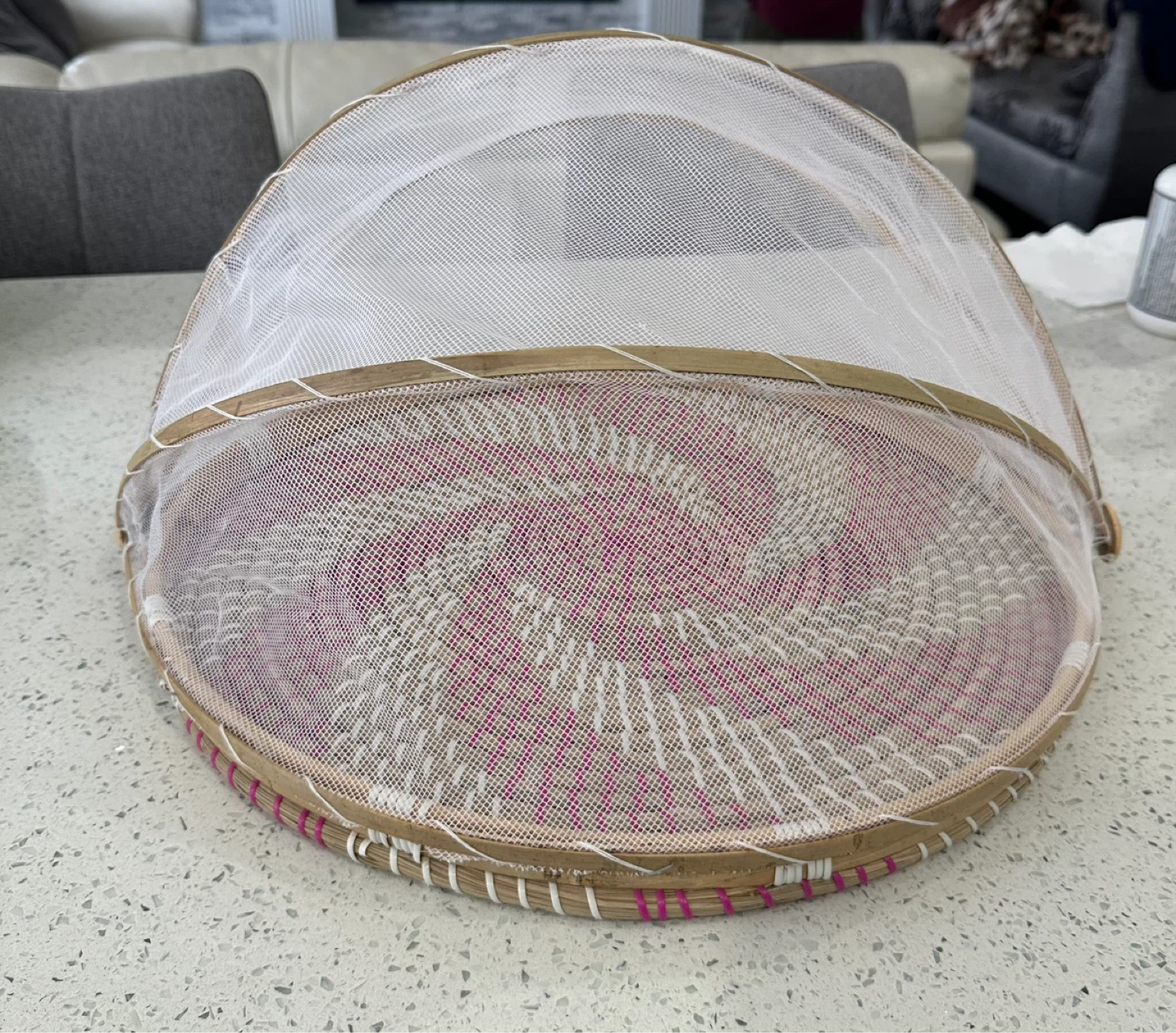 Outdoor Food Cover