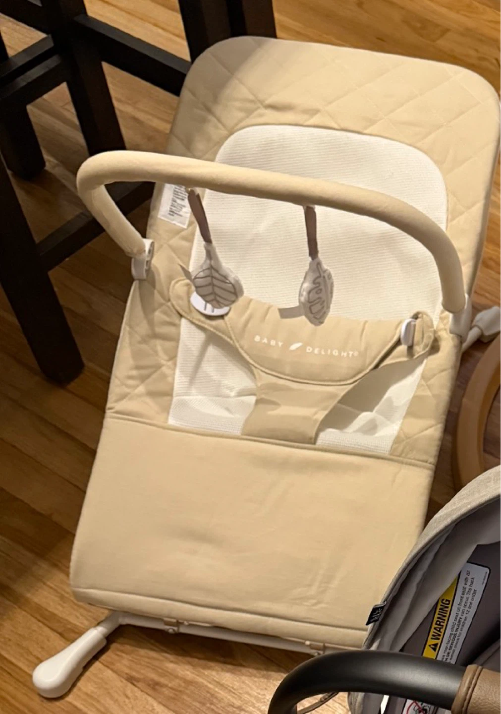 Baby Delight Baby Bouncer