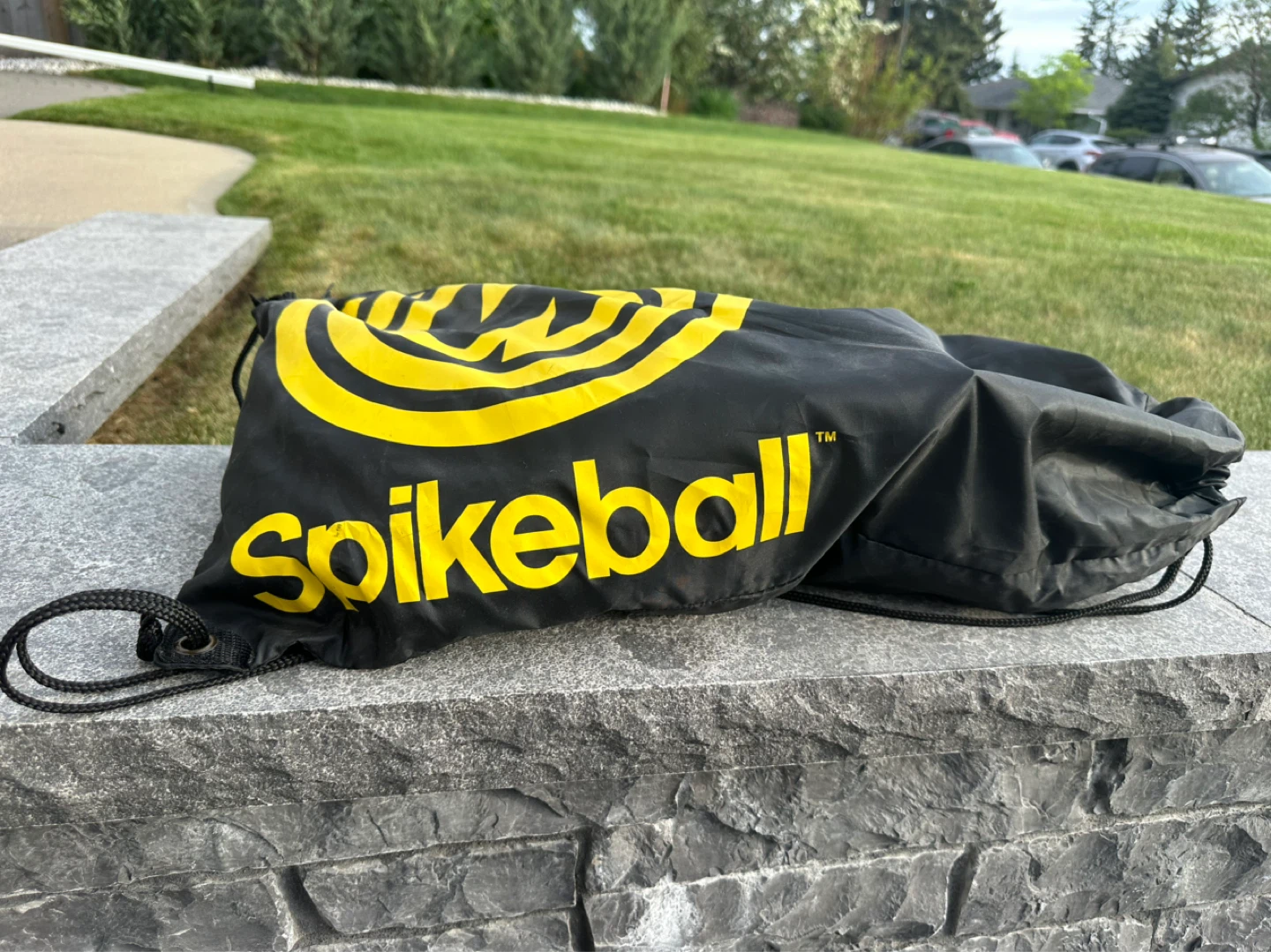 Spikeball Game - photo 2