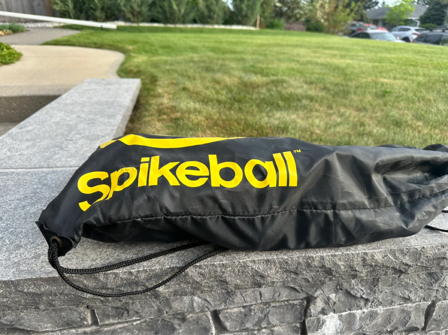 Spikeball Game