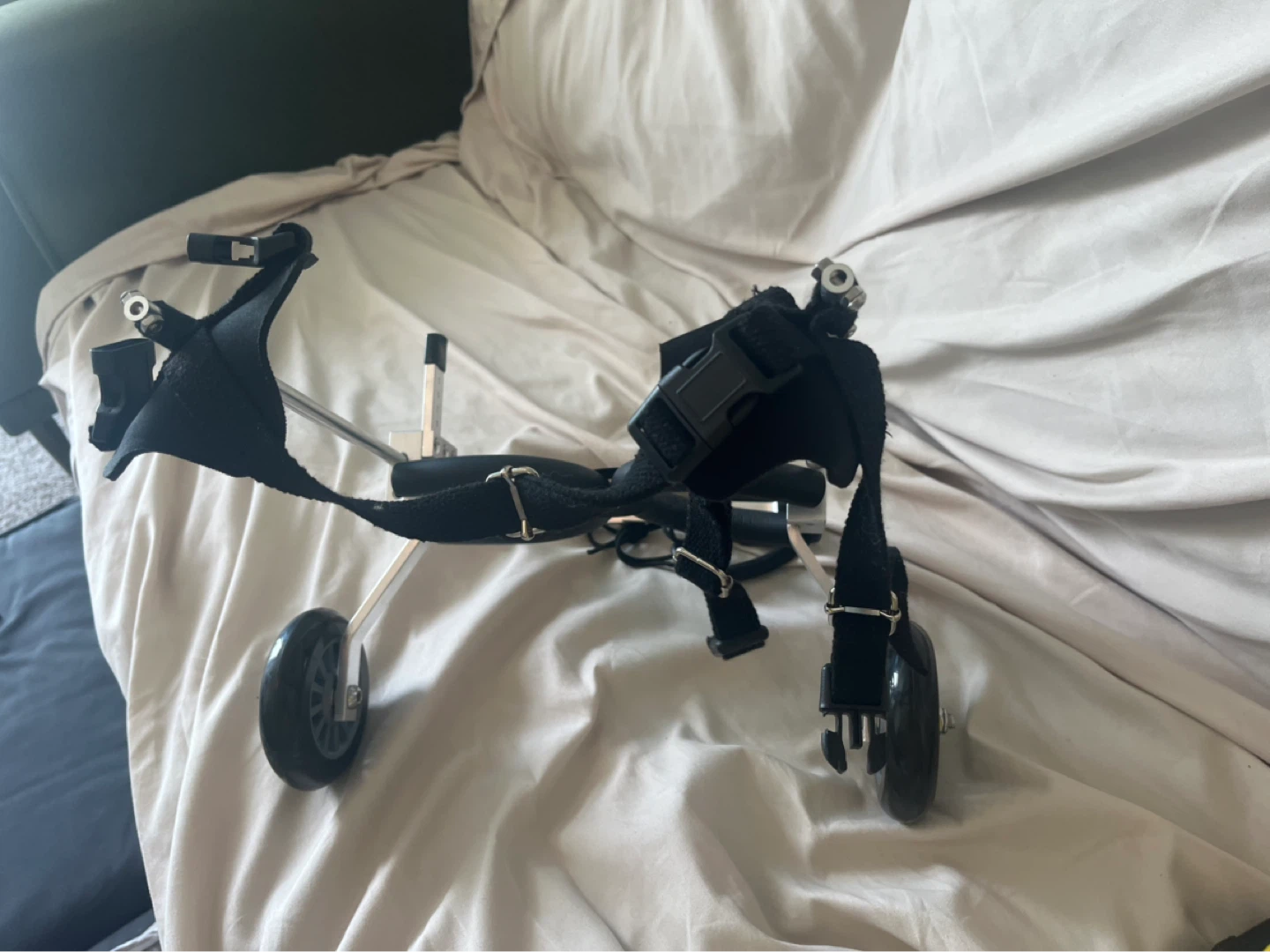 Adjustable Dog Wheelchair for Small to Medium Dogs