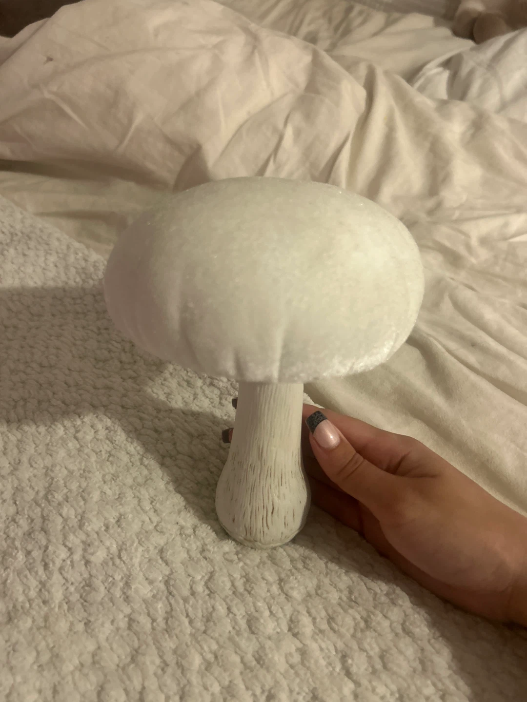 White Decorative Mushroom