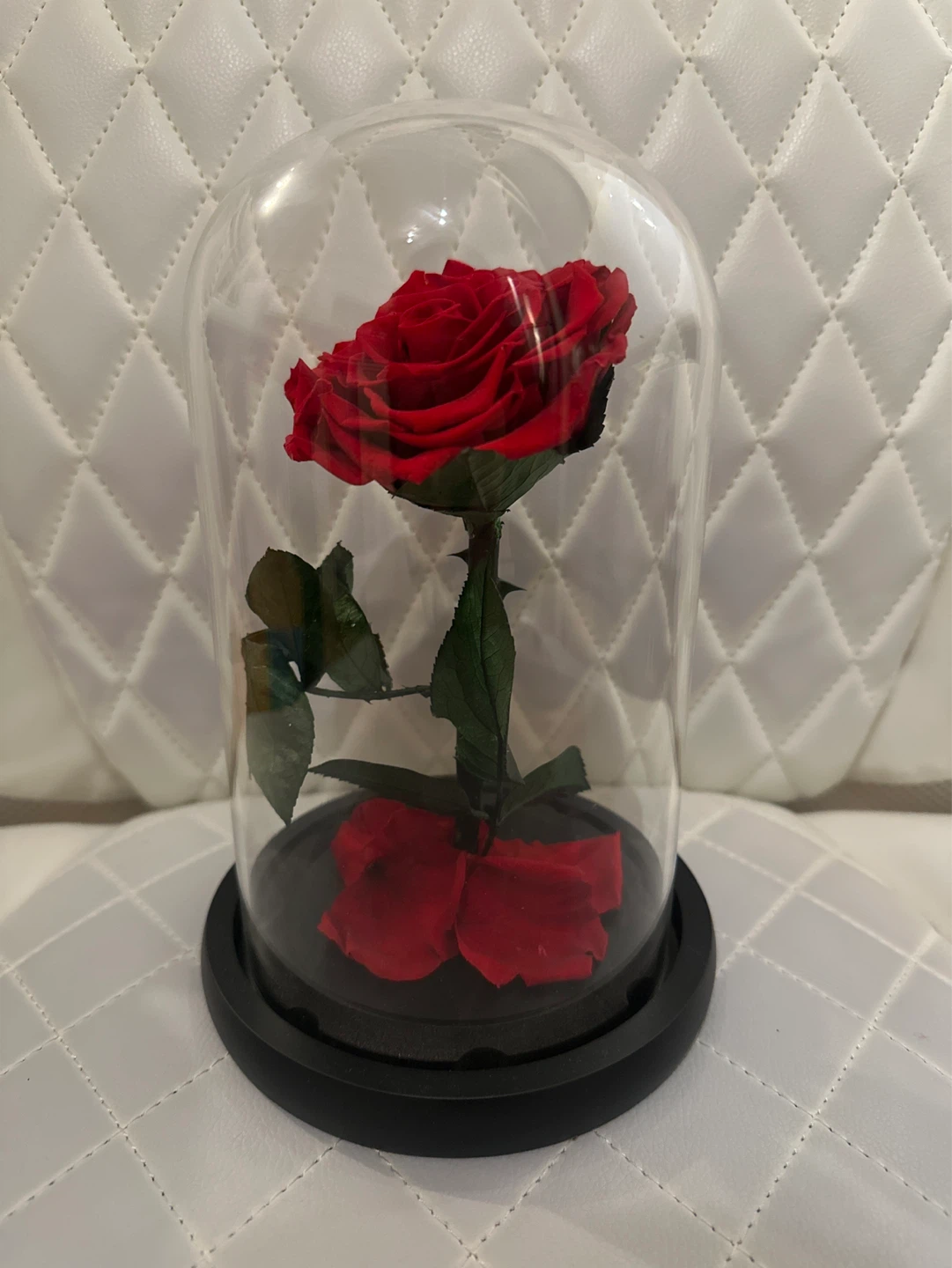 Preserved Red Rose in Glass Dome
