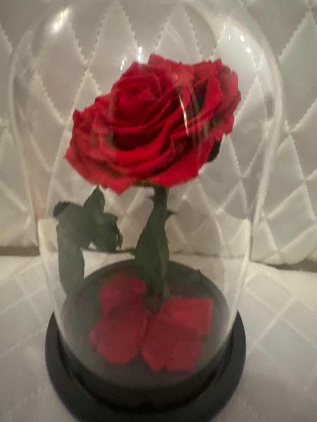 Preserved Red Rose in Glass Dome - photo 2
