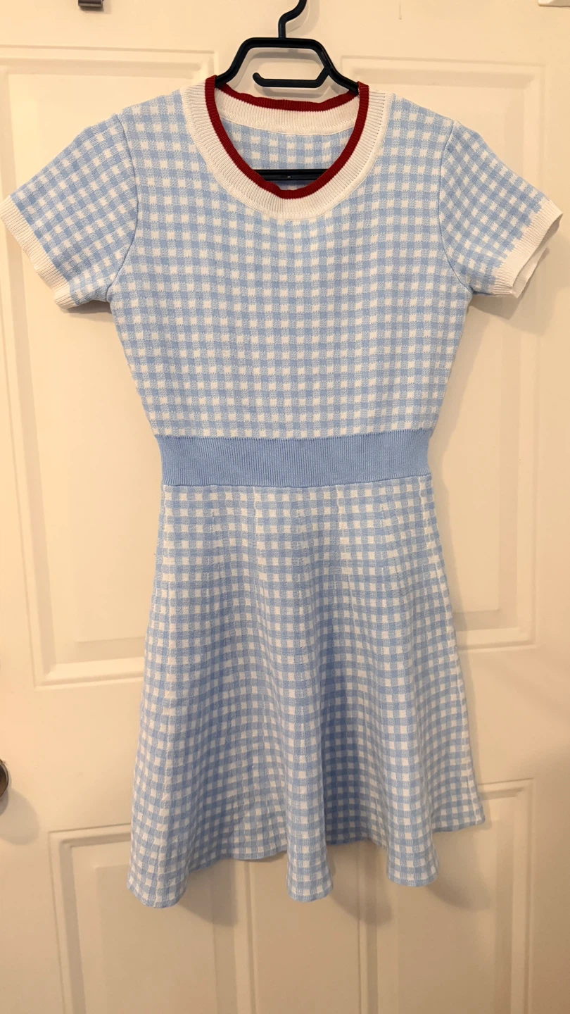 Blue Gingham Knit Dress Size M