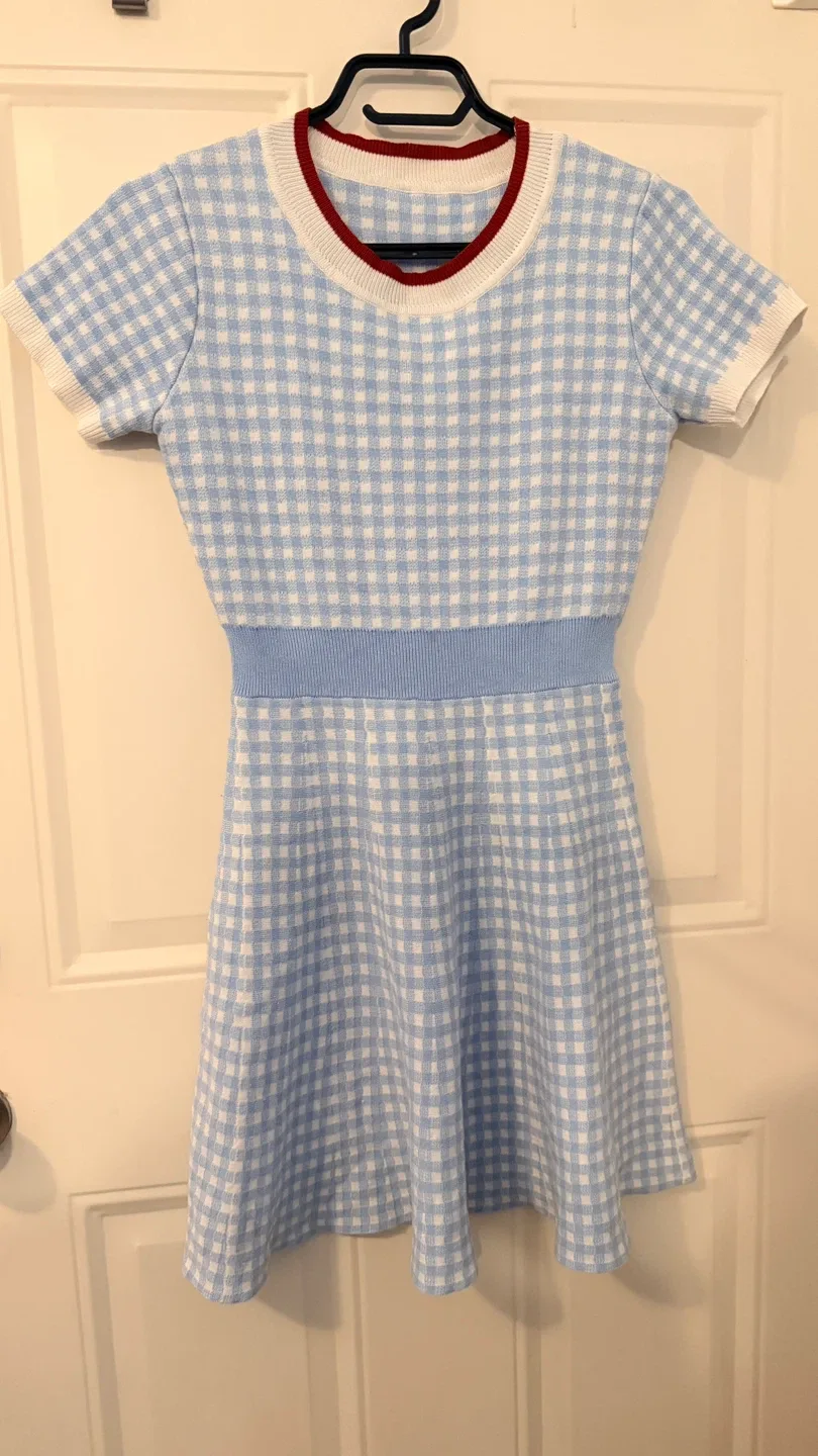 Blue Gingham Knit Dress Size M