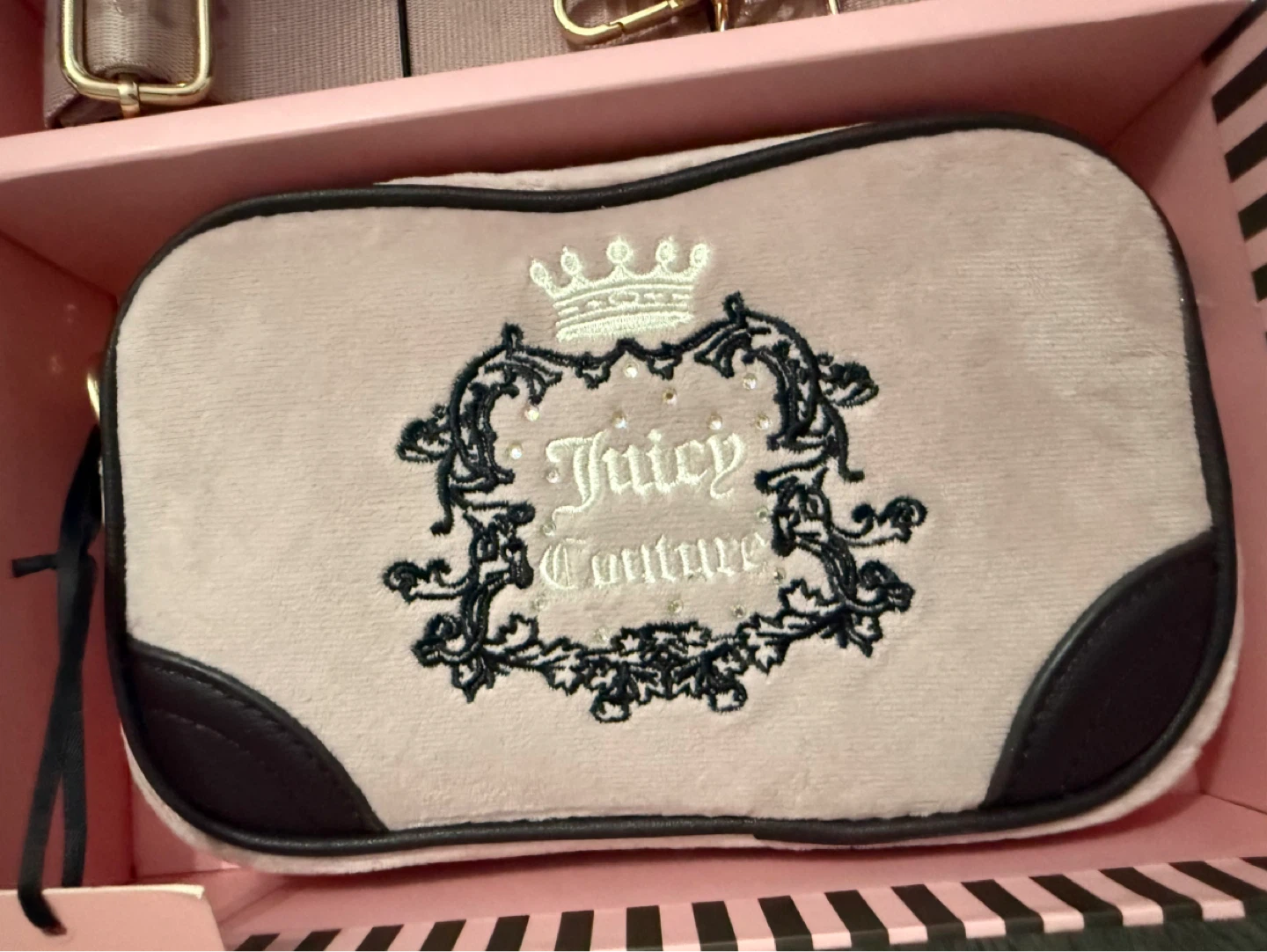 Juicy Couture Heritage Slim Camera Bag & Envelope CC Dusty Blush - photo 4