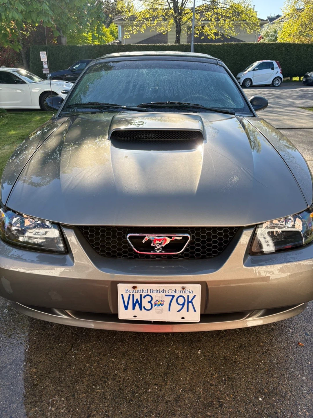 Ford Mustang Convertible GT