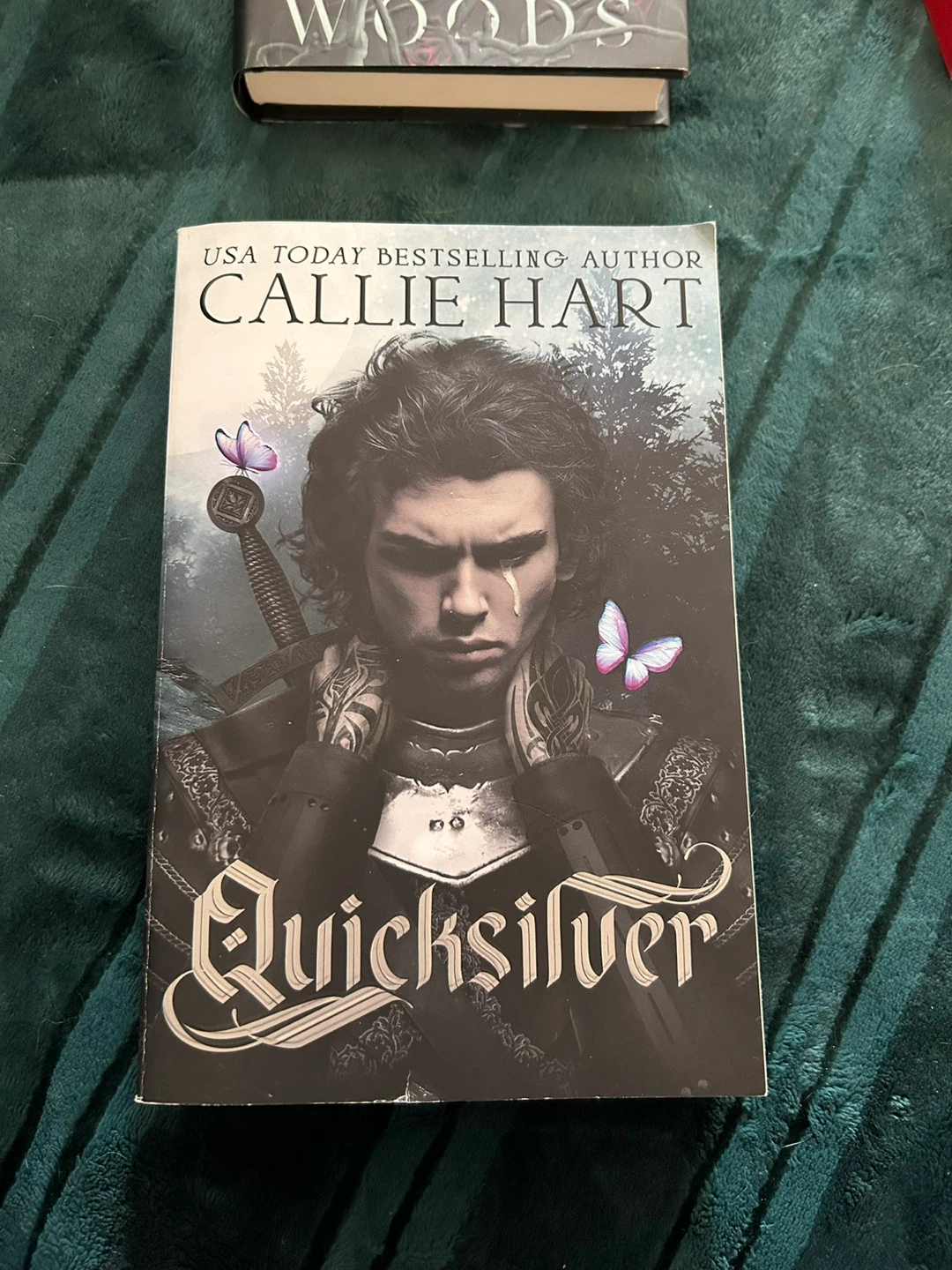 Fantasy books - photo 3