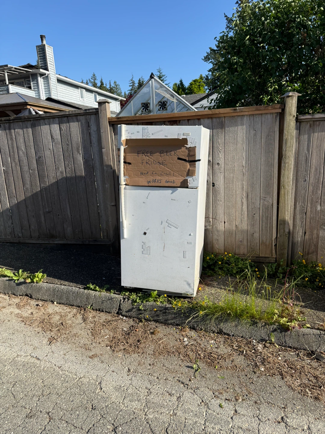 Free Beer Fridge - Works Good