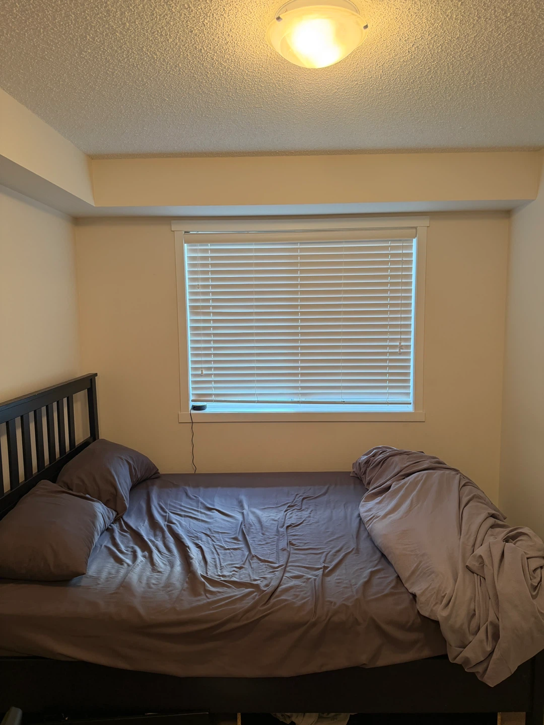 Furnished Room + Private Bath | $900 incl. Utilities