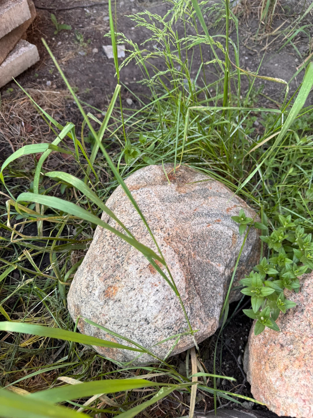 Decorative Garden Rocks - photo 2