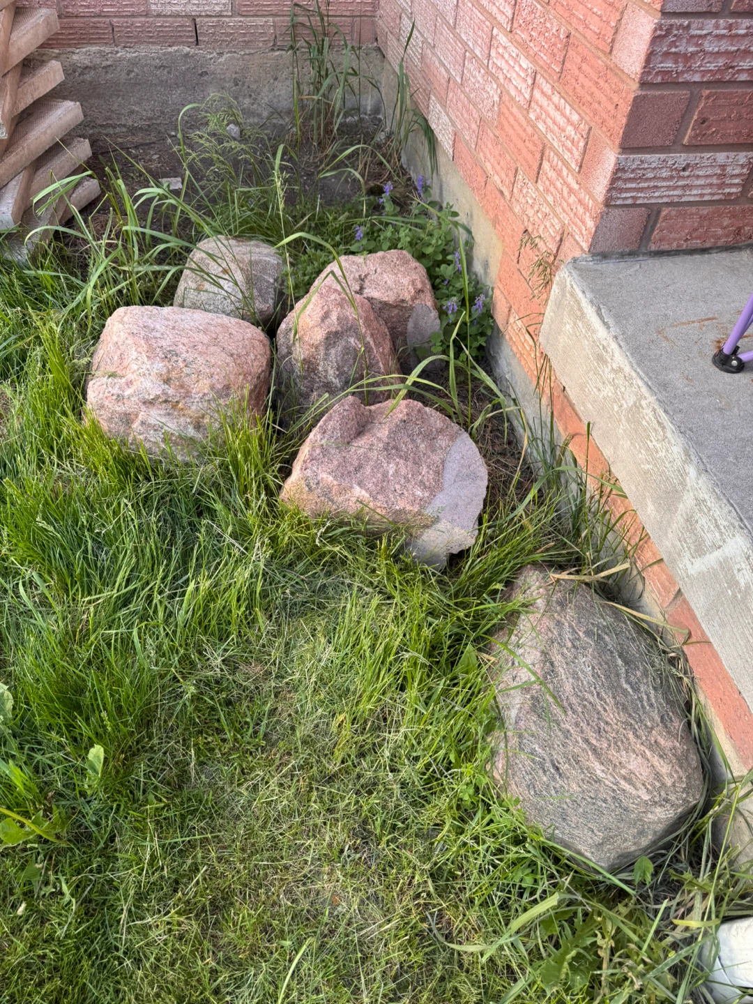Decorative Garden Rocks