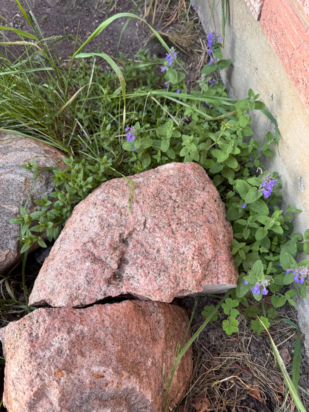 Decorative Garden Rocks - photo 3