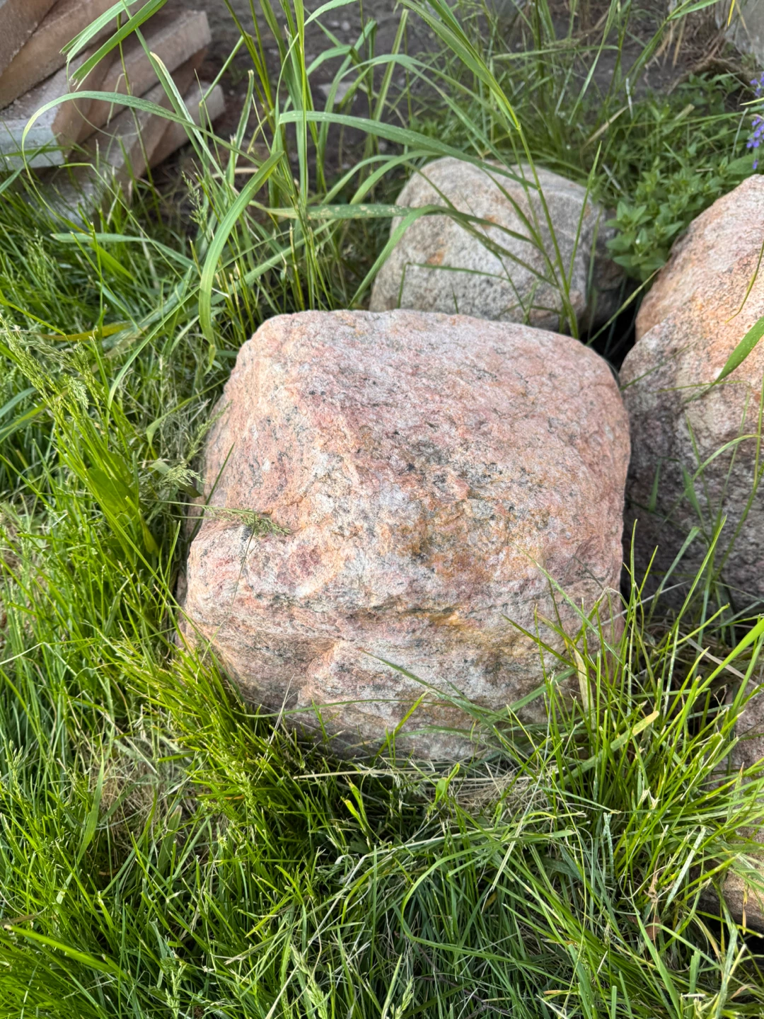 Decorative Garden Rocks - photo 4