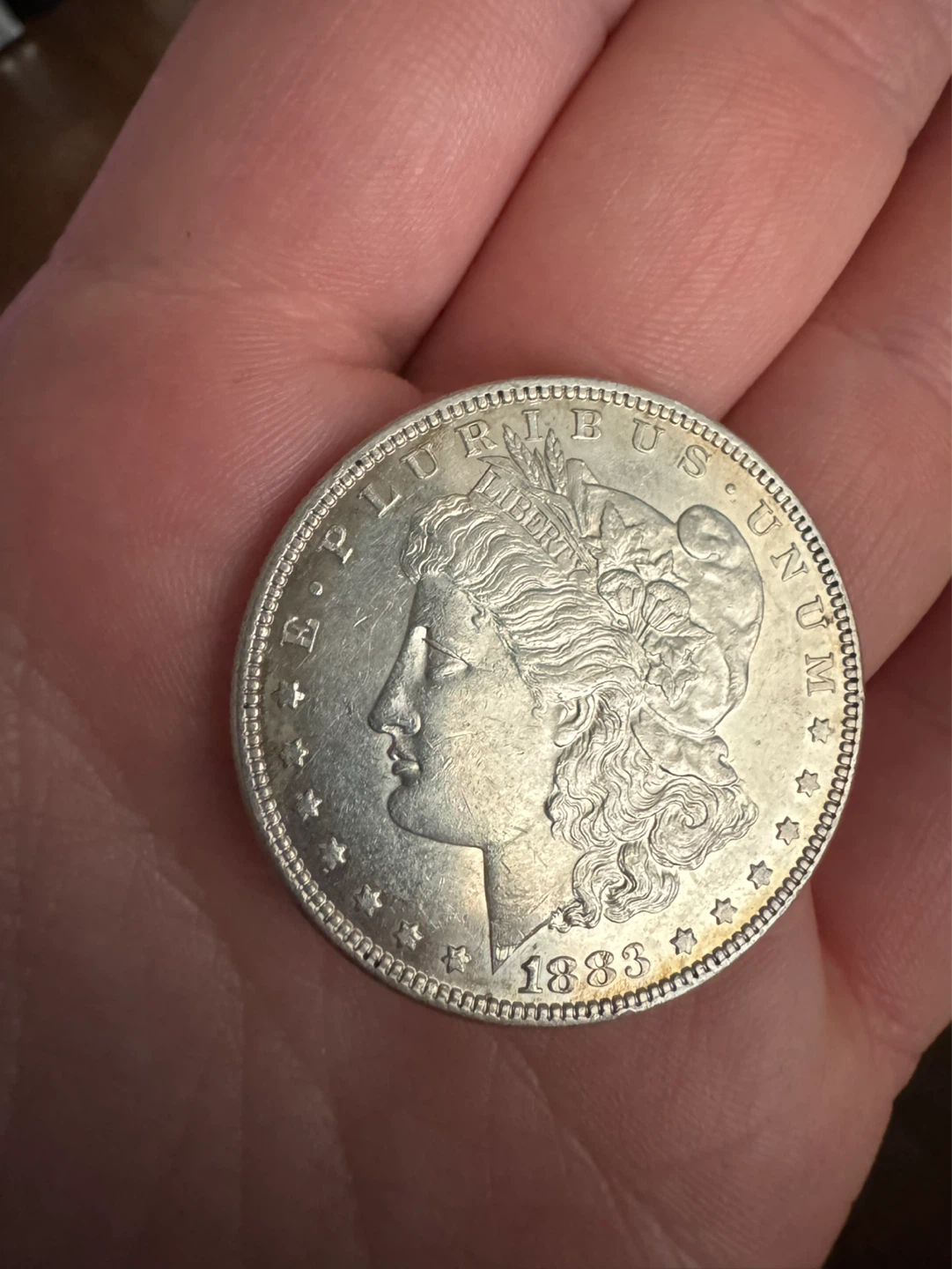 1883 Morgan Silver Dollar Coin