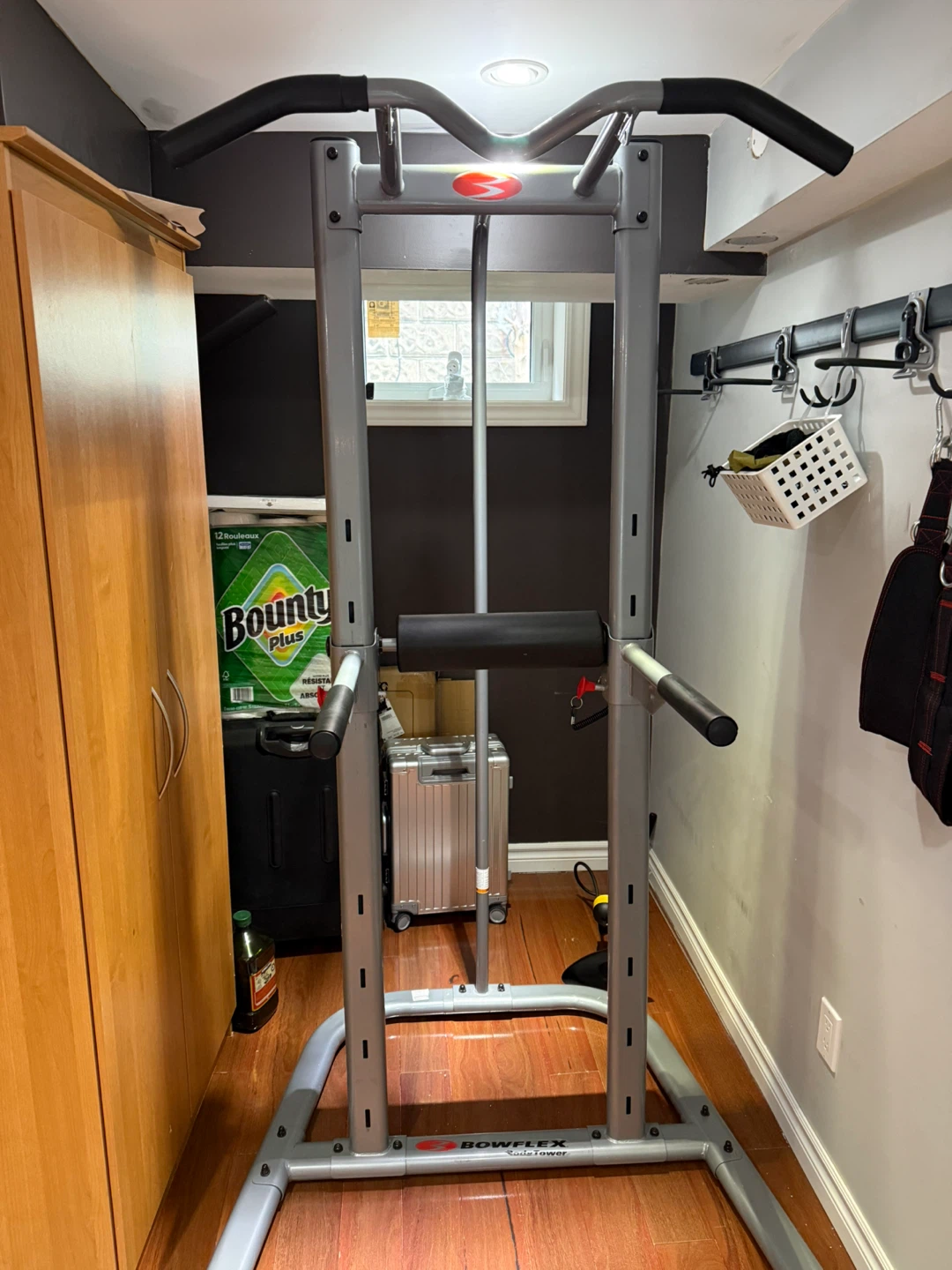 Bowflex Power Tower - photo 2