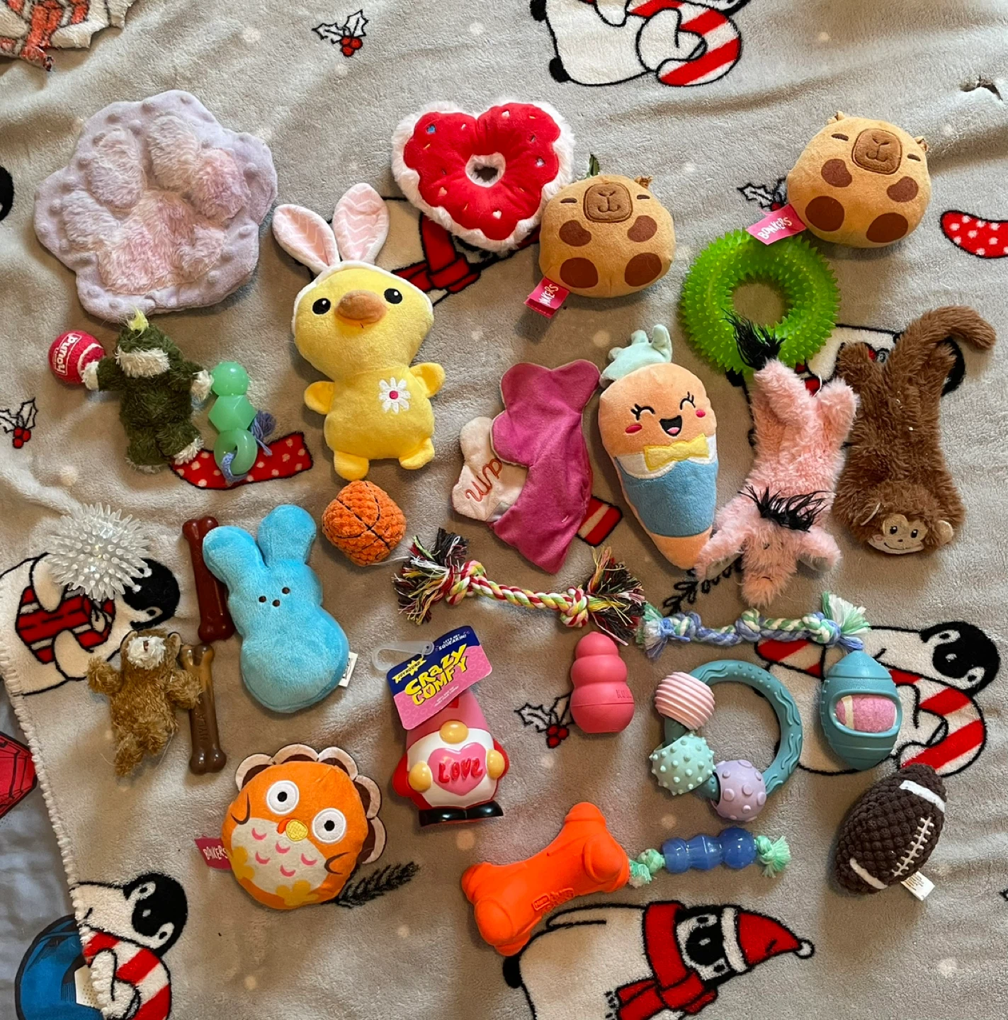 29pc Small Dog Toys Lot