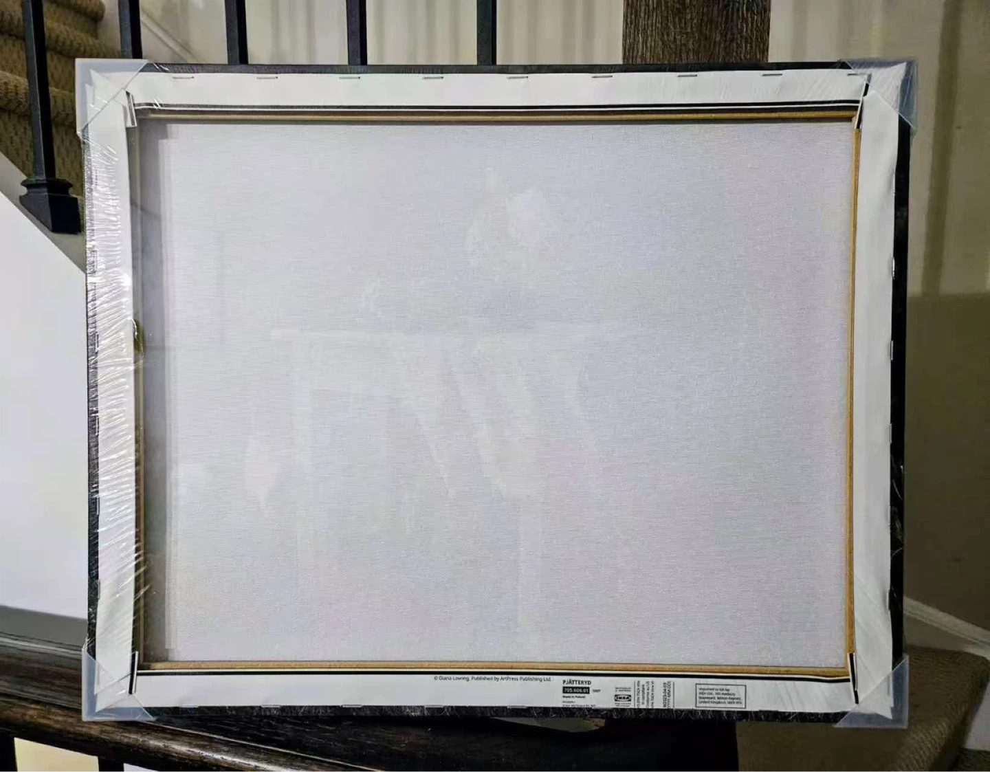 IKEA PJÄTTERYD Canvas Print - NEED TO SELL EVERYTHING - photo 2