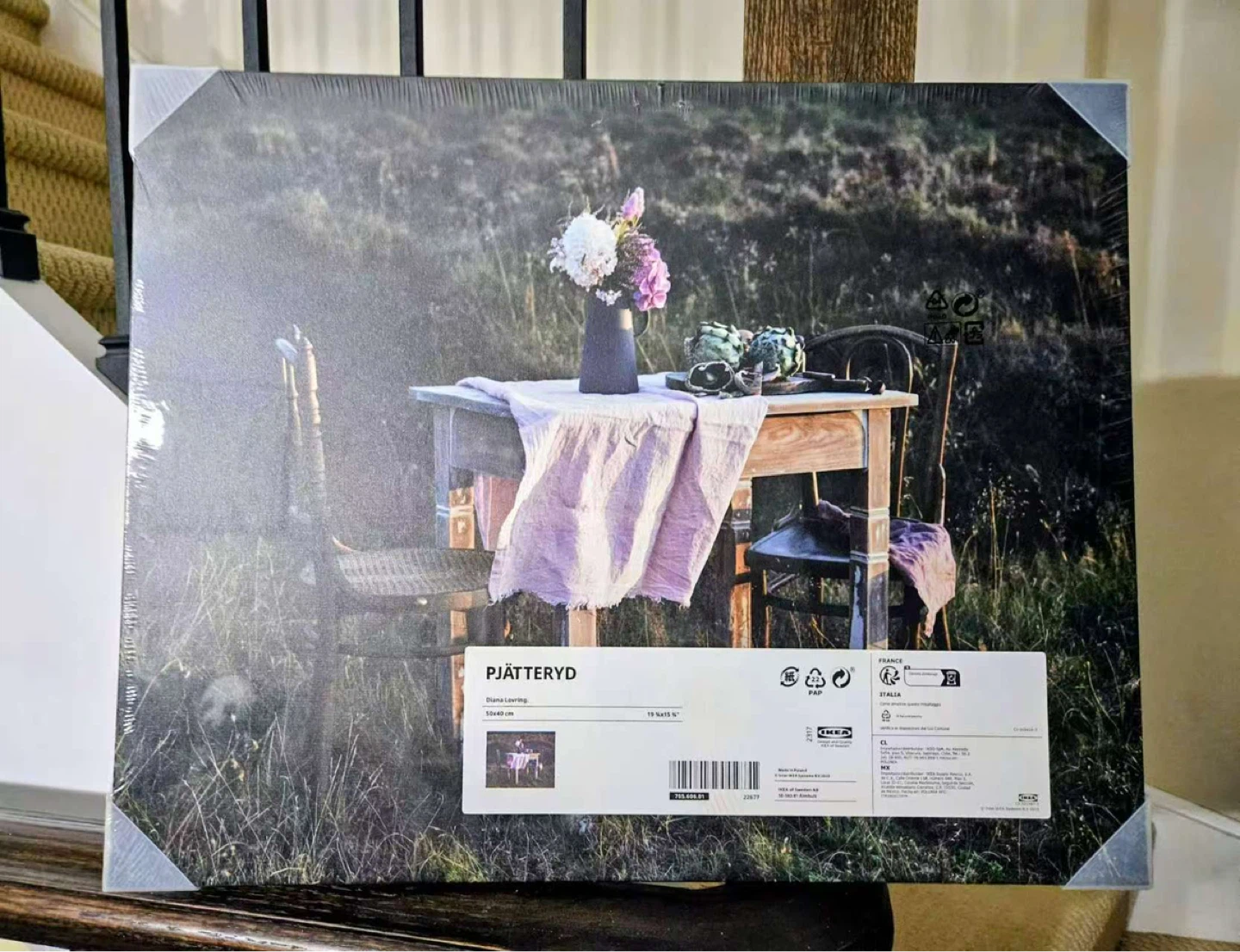 IKEA PJÄTTERYD Canvas Print - NEED TO SELL EVERYTHING