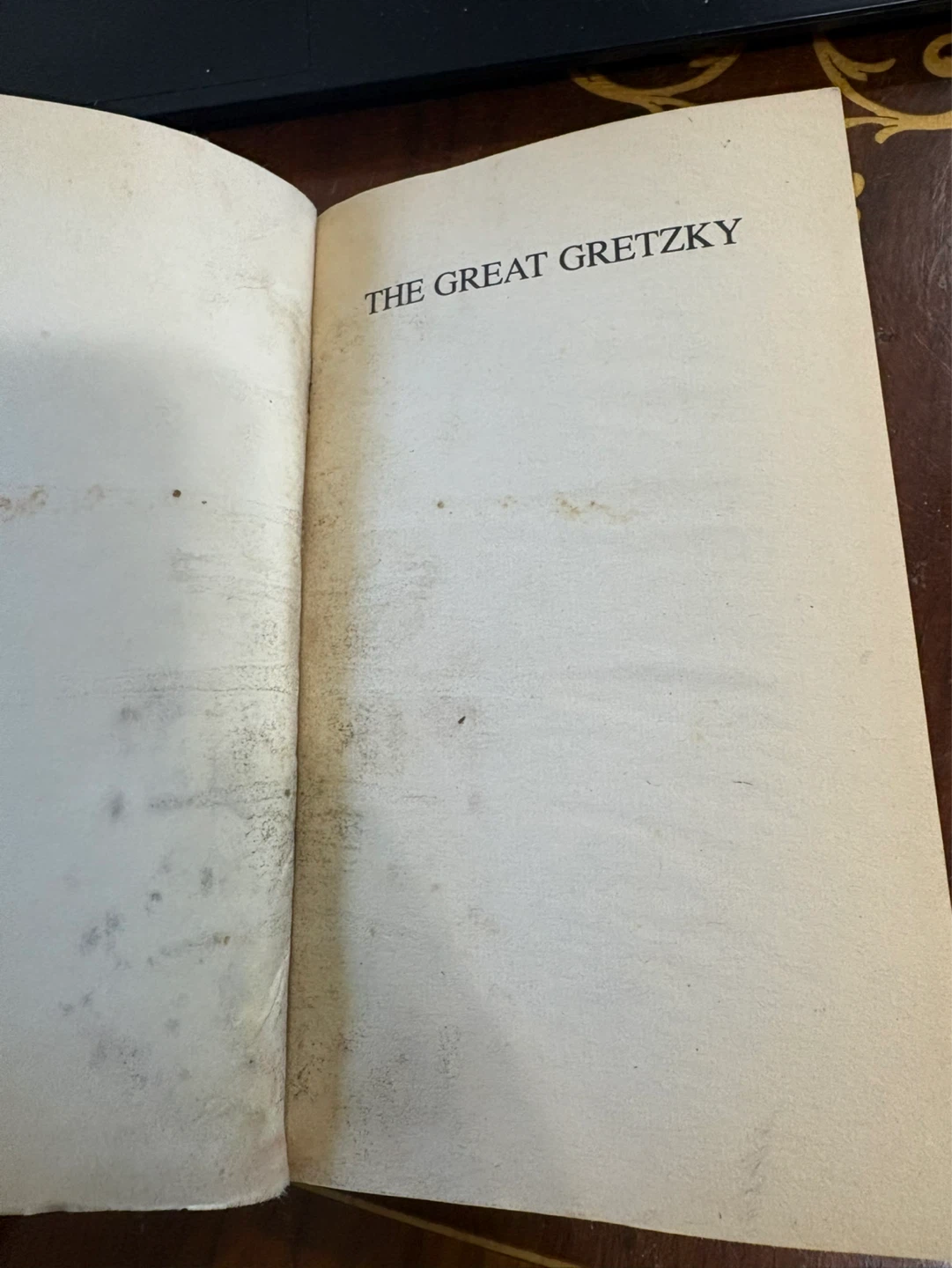 The Great Gretzky Paperback Book by Terry Jones - photo 2