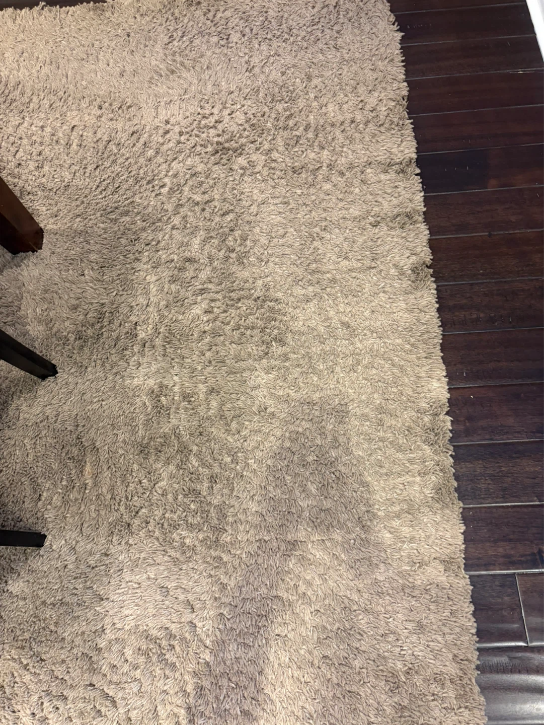Fluffy Beige Area Rug - photo 2