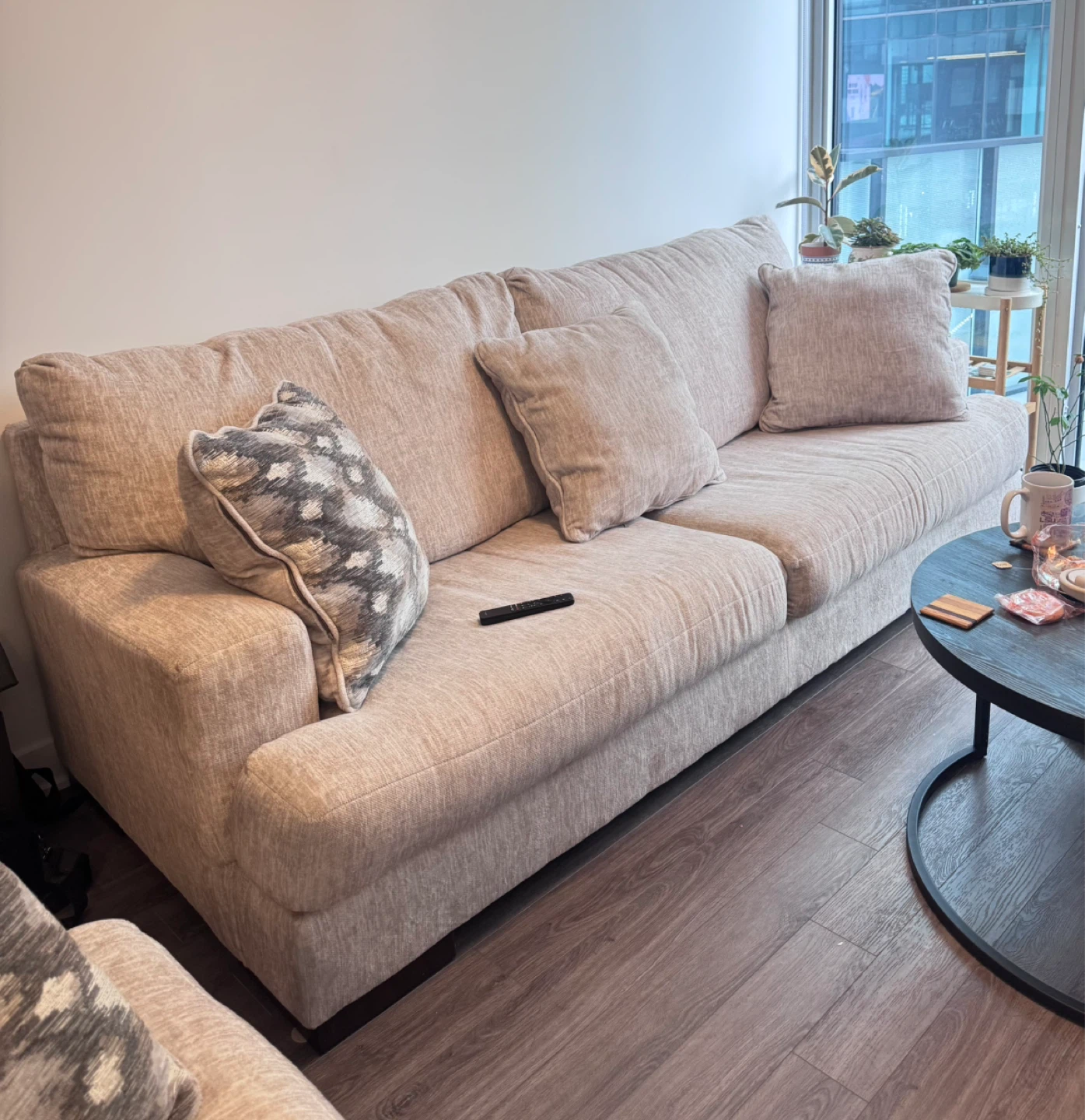 Light Beige sofa with Pillow