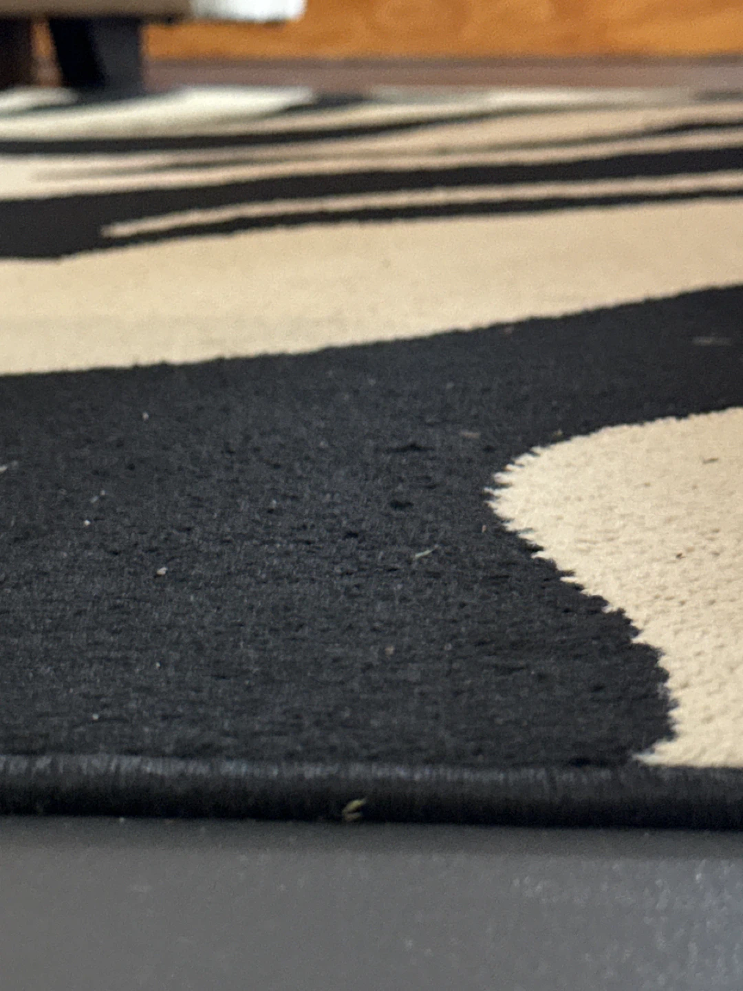 LARGE Zebra Print Area Rug - photo 4