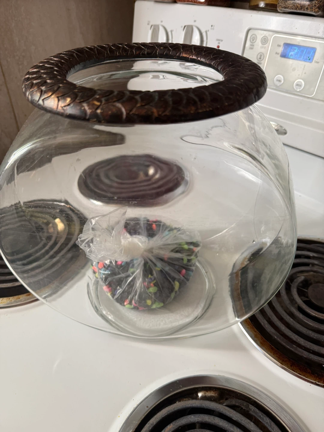 Fish bowl