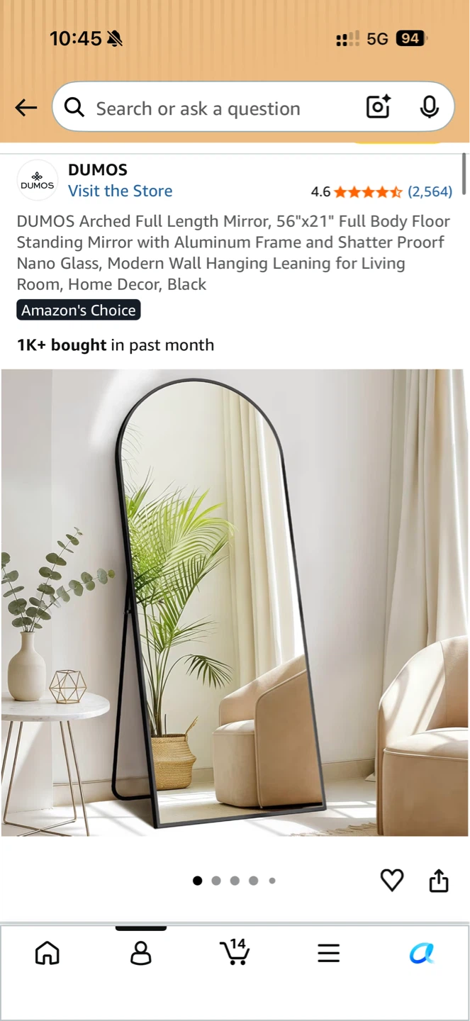 Brand New Arched Full Length Mirror