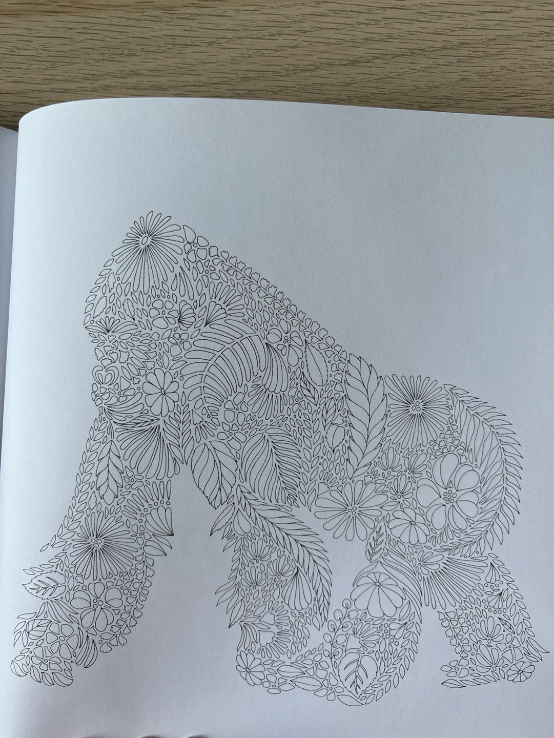 [NEW] Millie Marotta's Animal Kingdom Coloring Books - photo 3