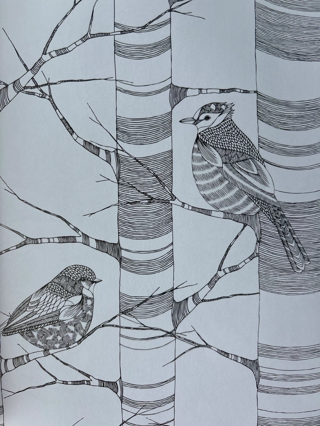 [NEW] Millie Marotta's Animal Kingdom Coloring Books - photo 2