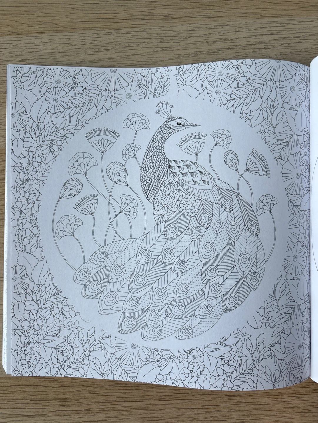 [NEW] Millie Marotta's Animal Kingdom Coloring Books - photo 4