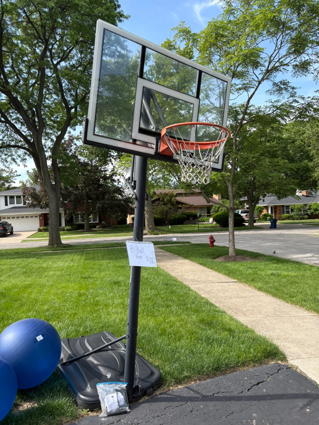 Lifetime Basketball Hoop