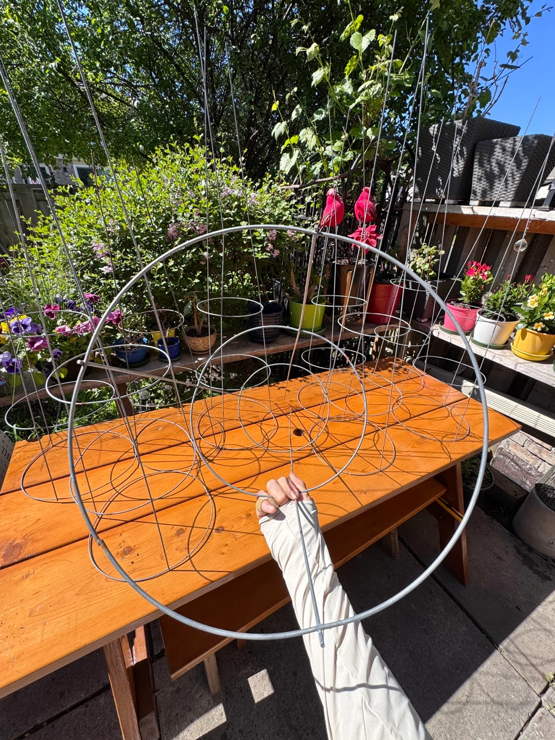 Metal 3 Rings Tomato Support Cage 42”x 12” - 9 Total - photo 2