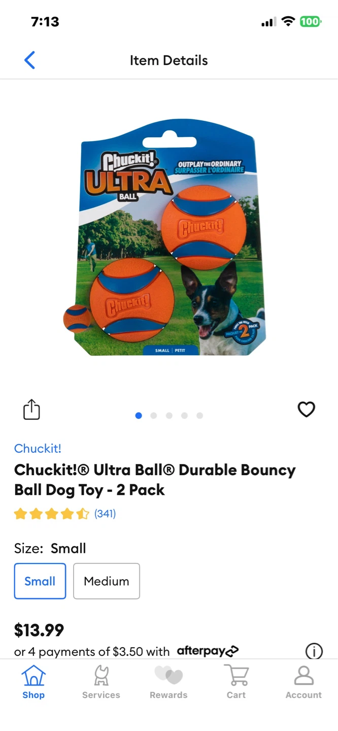 Brand New Chuckit Dog Balls - photo 2