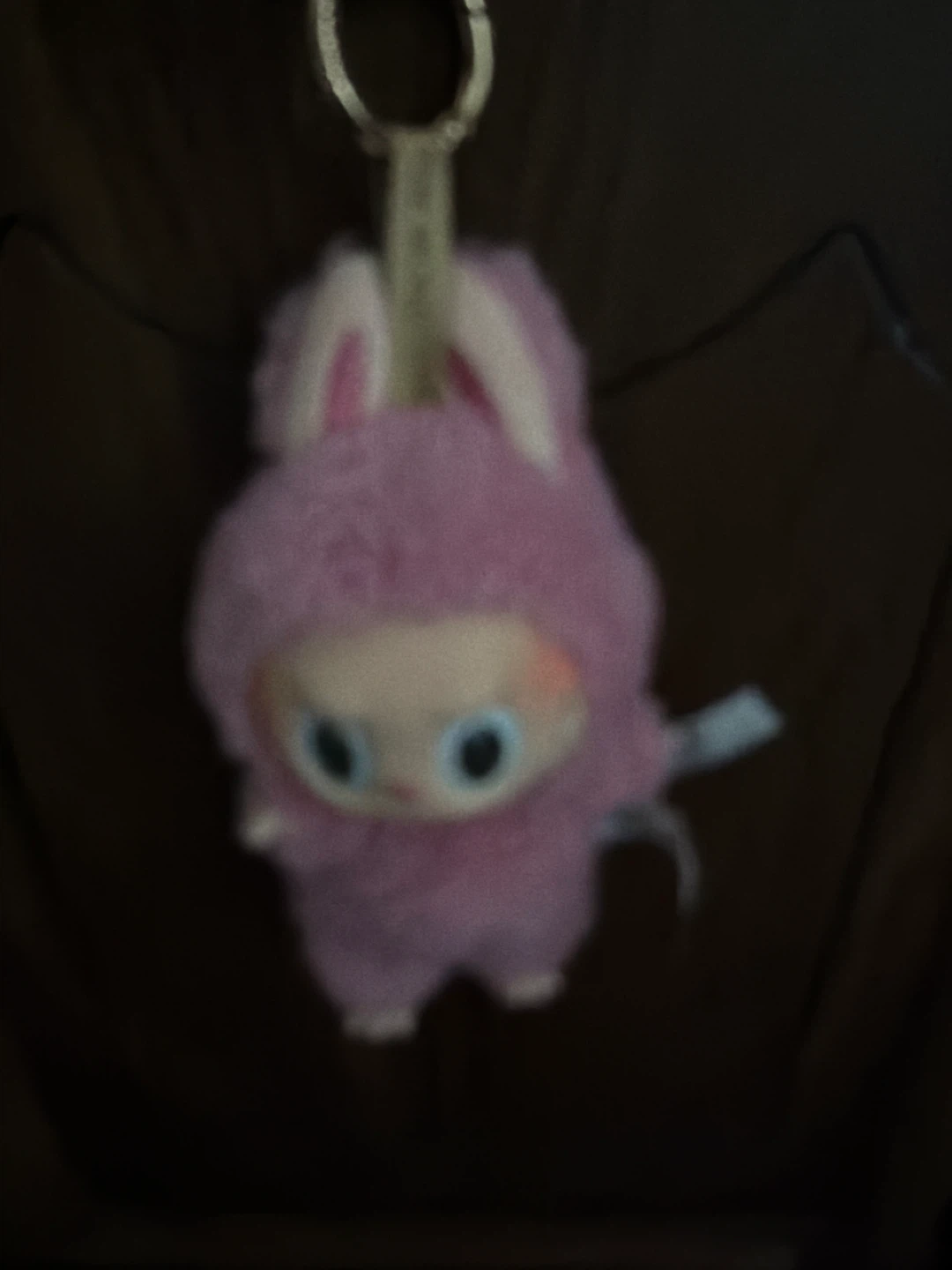Brand new Labubu  blind box