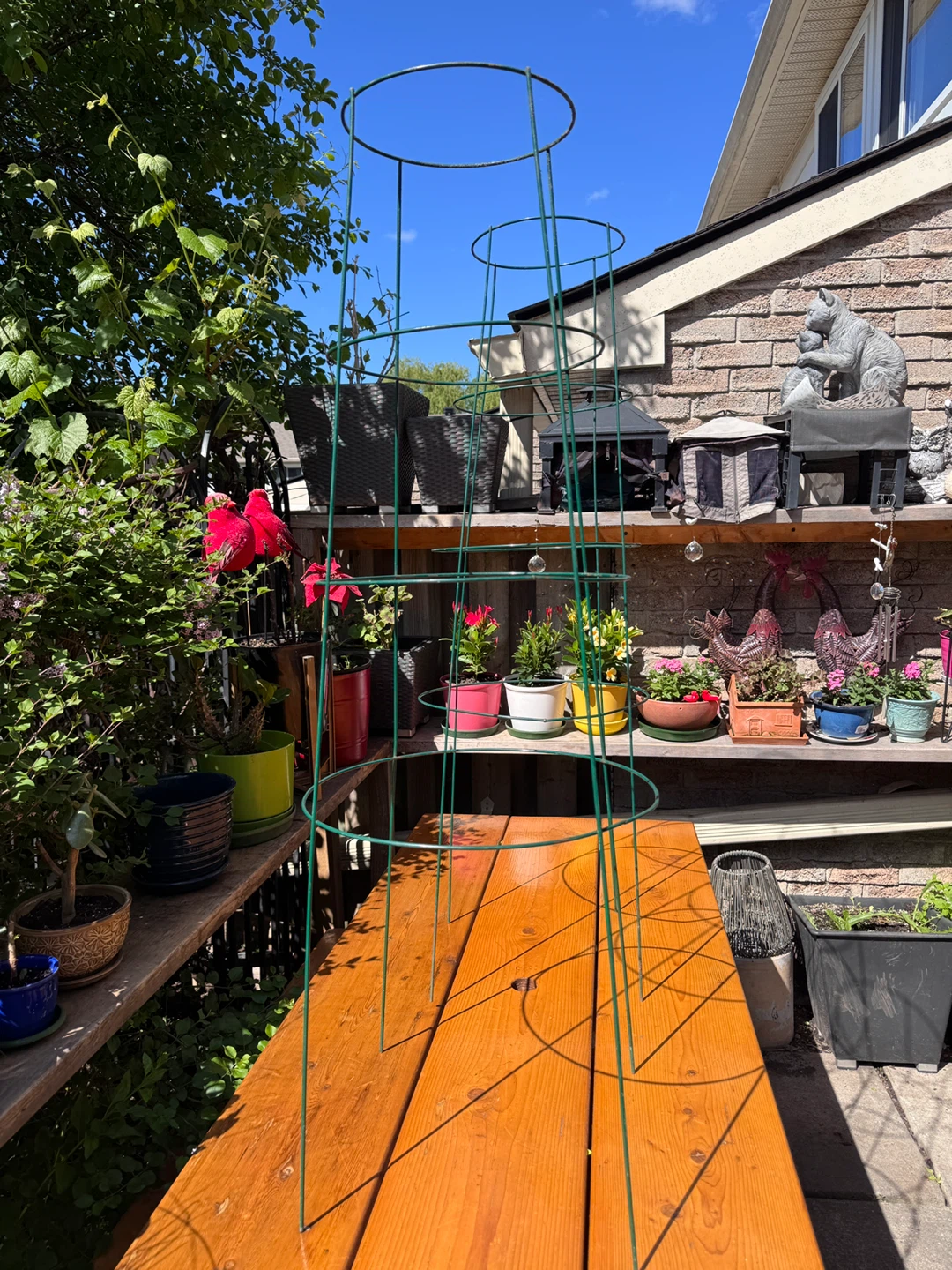 Metal 4 Rings Tomato Support Cage 47”x 16”-10” - photo 2