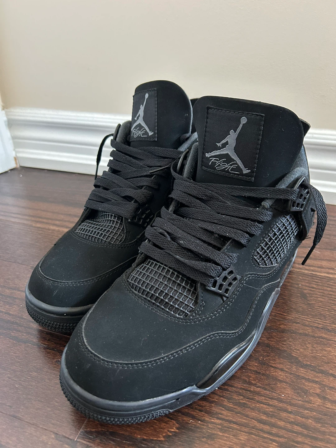 Air Jordan 4 "Black Cat"