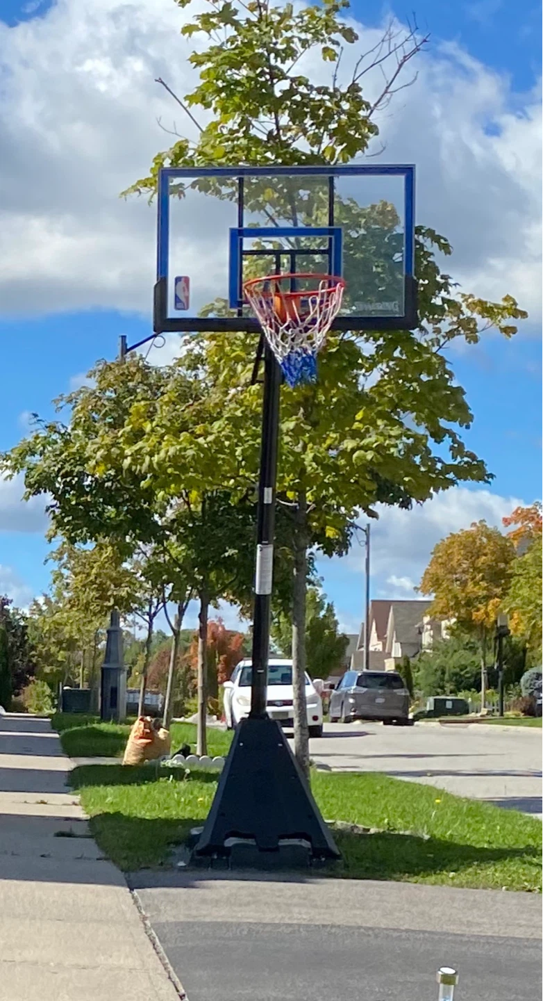 Adjustable Basketball Hoop